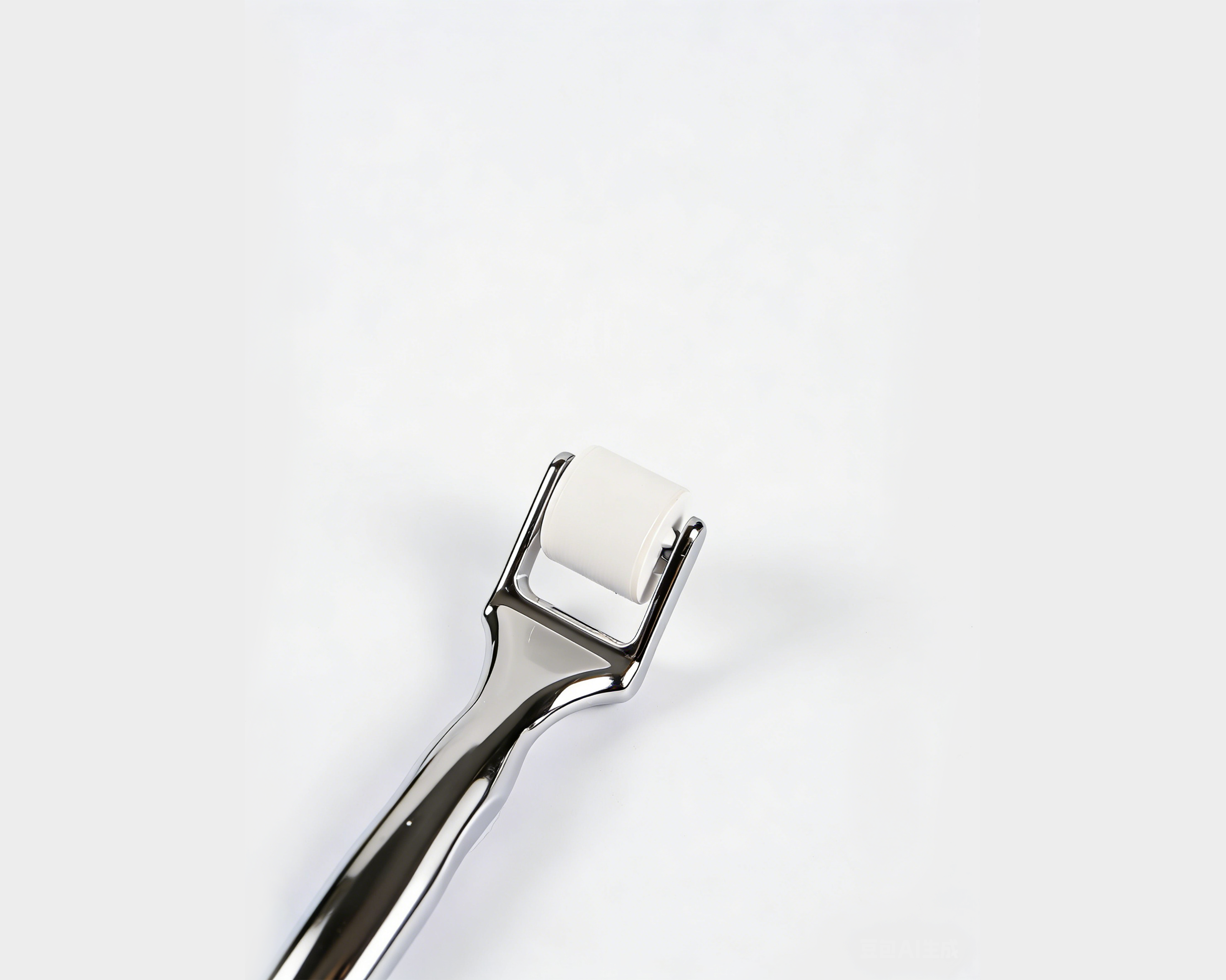 OEM/ODM PDRN HydraGlow Microneedle Roller